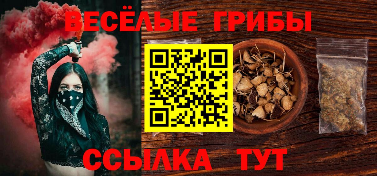 Галлюциногенные грибы Psilocybe Протвино
