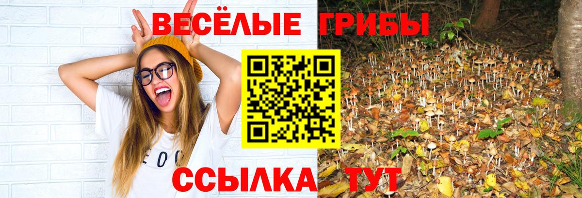 Псилоцибиновые грибы мицелий  продажа наркотиков  Протвино  Вход с VPN 